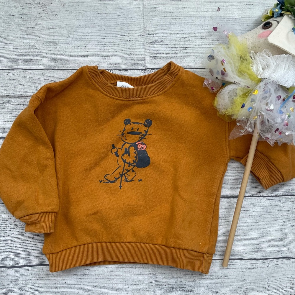 Zara Unisex Toddler Sweatshirt